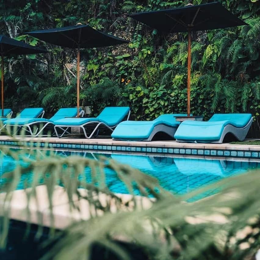 Javacove Beach Hotel Batukaras Ngoại thất bức ảnh